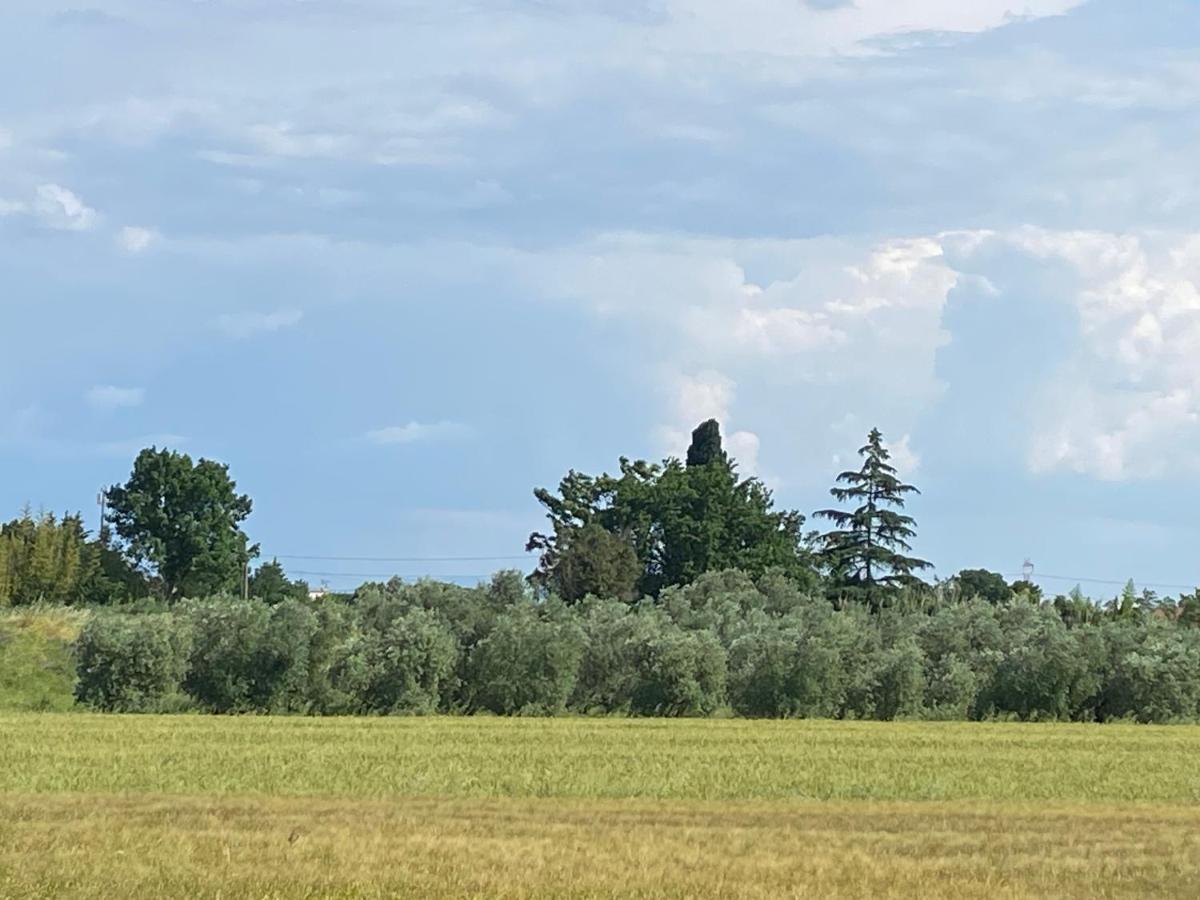 Accanto A Firenze Prato  Kültér fotó