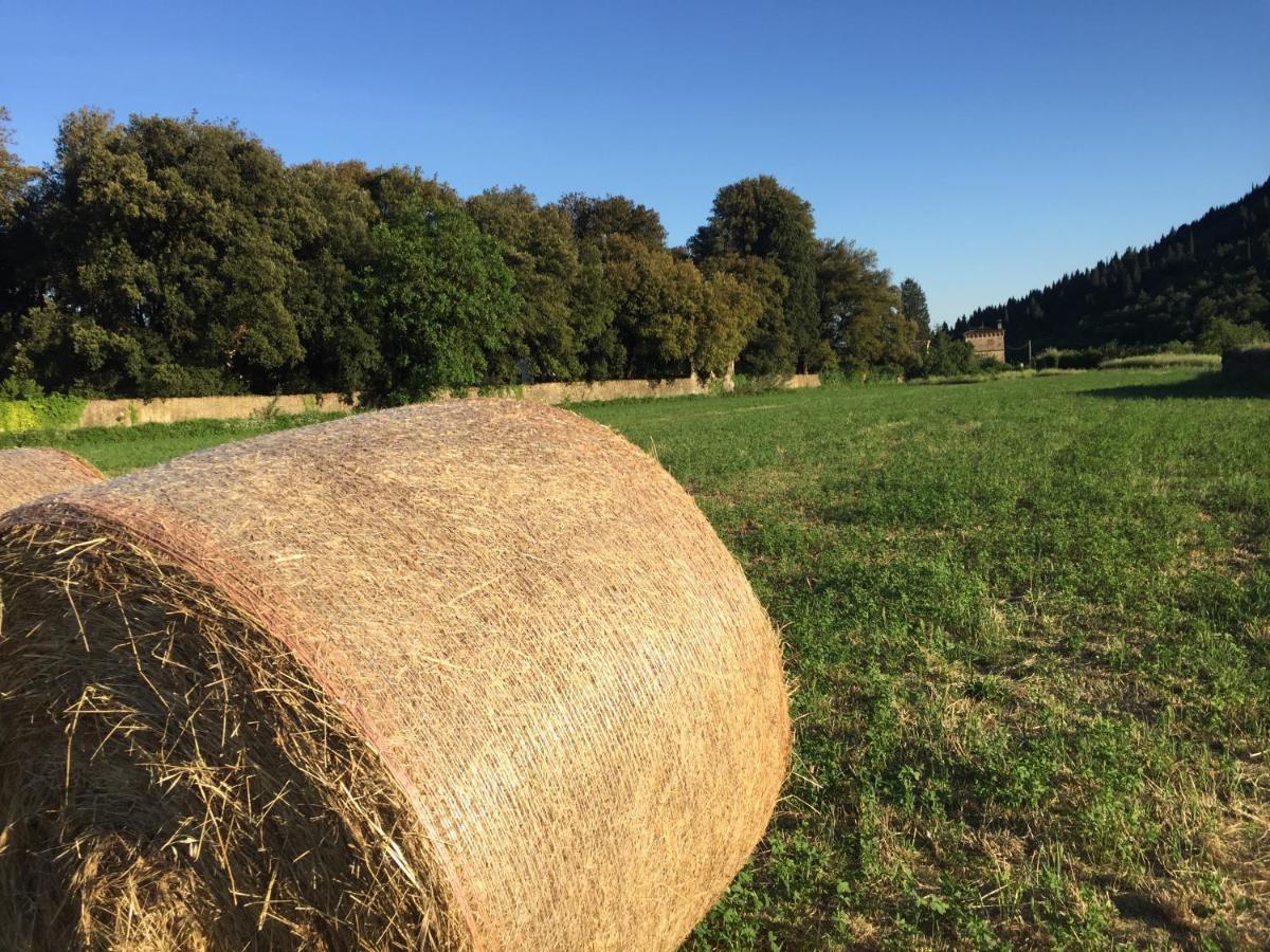 Accanto A Firenze Prato  Kültér fotó
