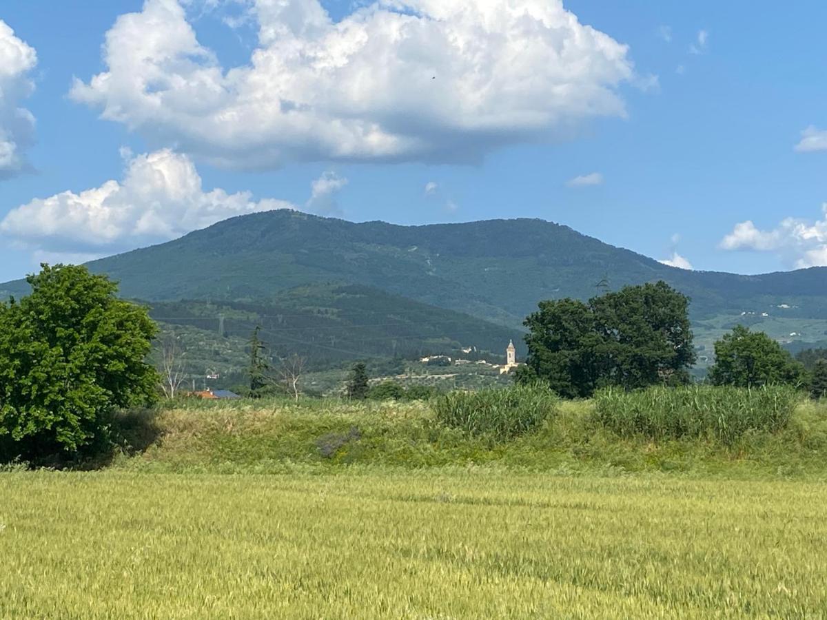 Accanto A Firenze Prato  Kültér fotó