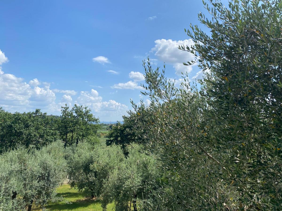 Accanto A Firenze Prato  Kültér fotó